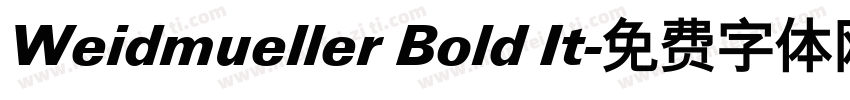 Weidmueller Bold It字体转换